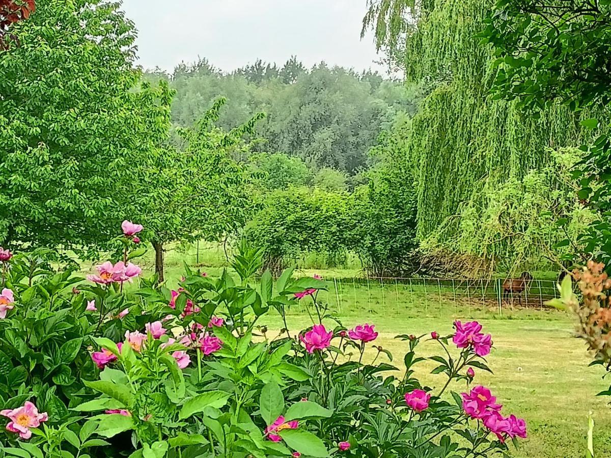Les chambres du Vert Galant Rez de jardin Verlinghem Extérieur photo